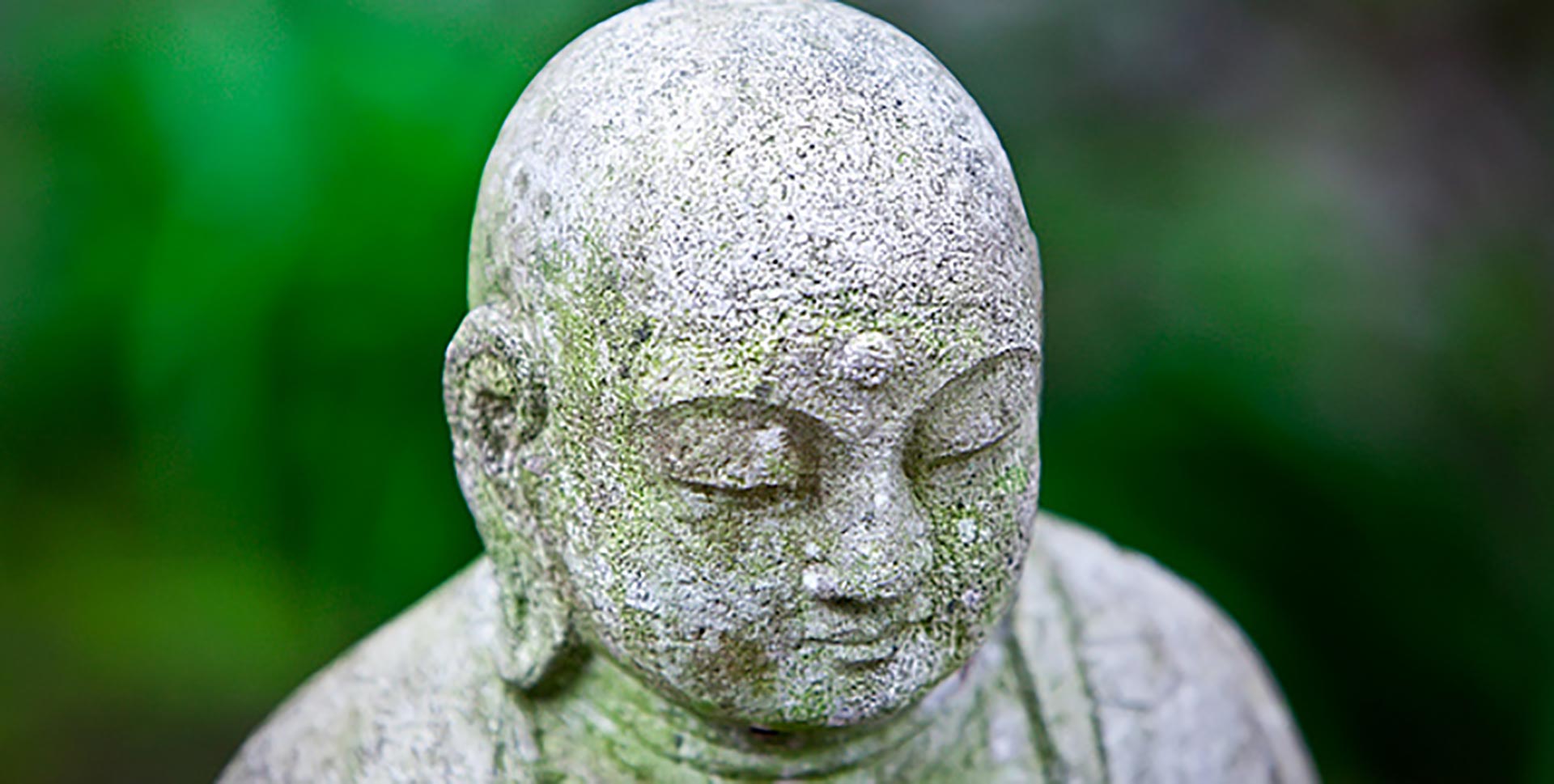 Matcha and Cooking at Tassajara