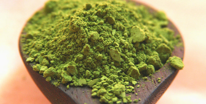 Why Do We Call Our Matcha Blends “Blends?”