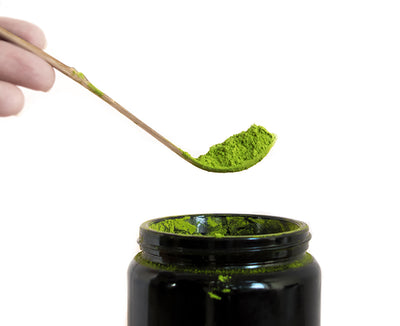 Matcha Scoop
