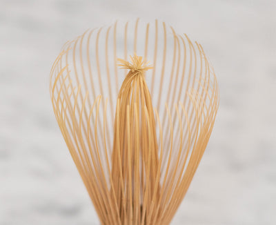Tanimura Bamboo Matcha Whisk