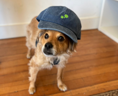 BAM Cap