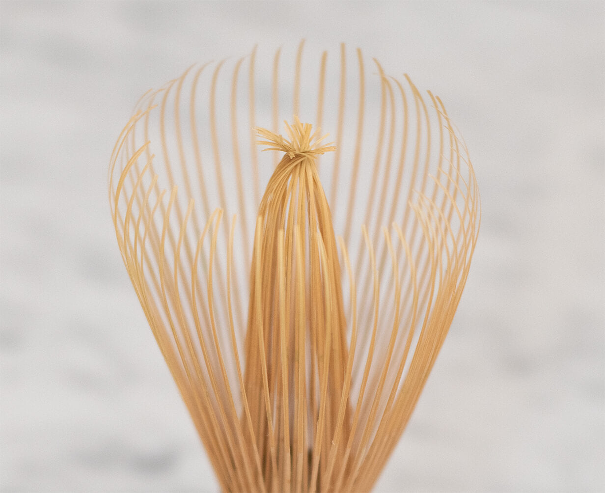 Tanimura Bamboo Matcha Whisk